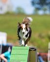 20170521-neat-1753
