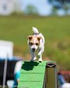 20170521-neat-1762