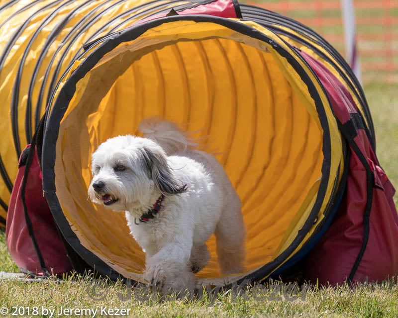 20180616-1436.jpg