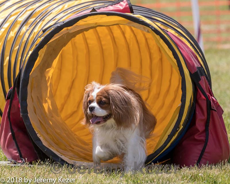 20180616-1357.jpg