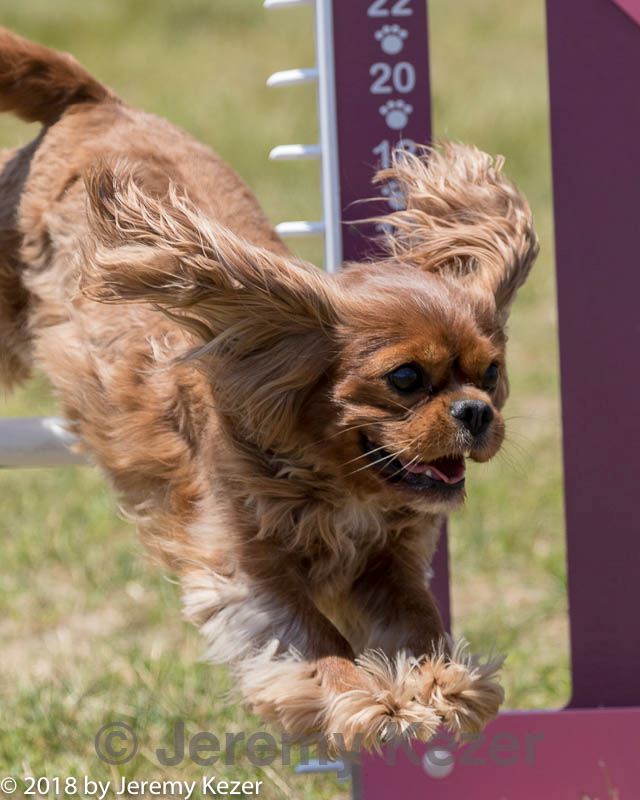 20180616-1264.jpg