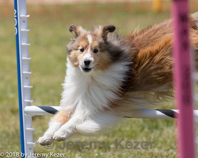 20180616-1303.jpg