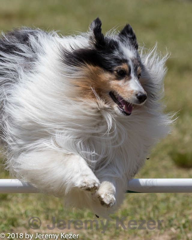 20180616-1317.jpg