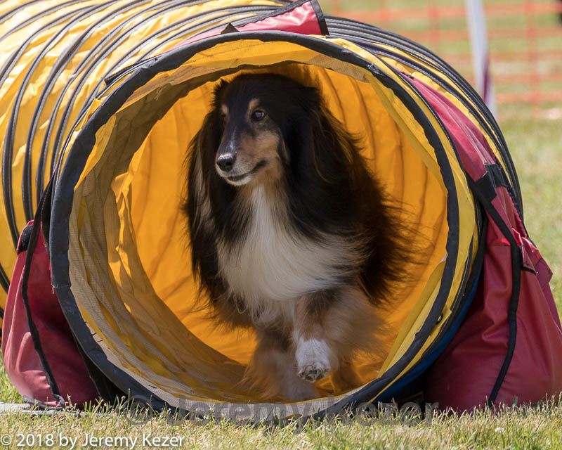 20180616-1320.jpg
