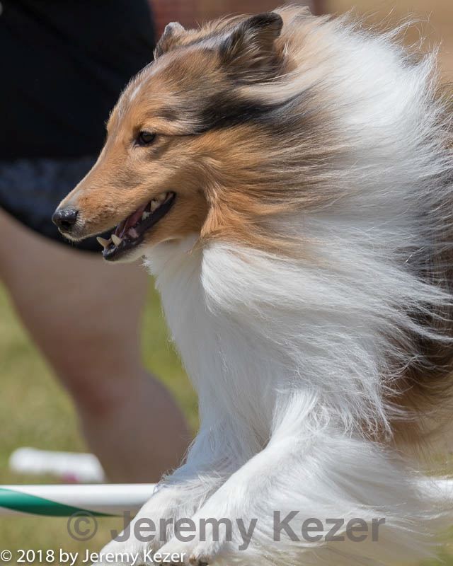 20180616-0782.jpg