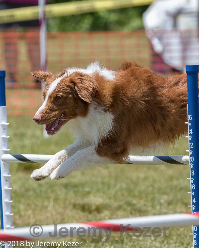 20180616-0804.jpg