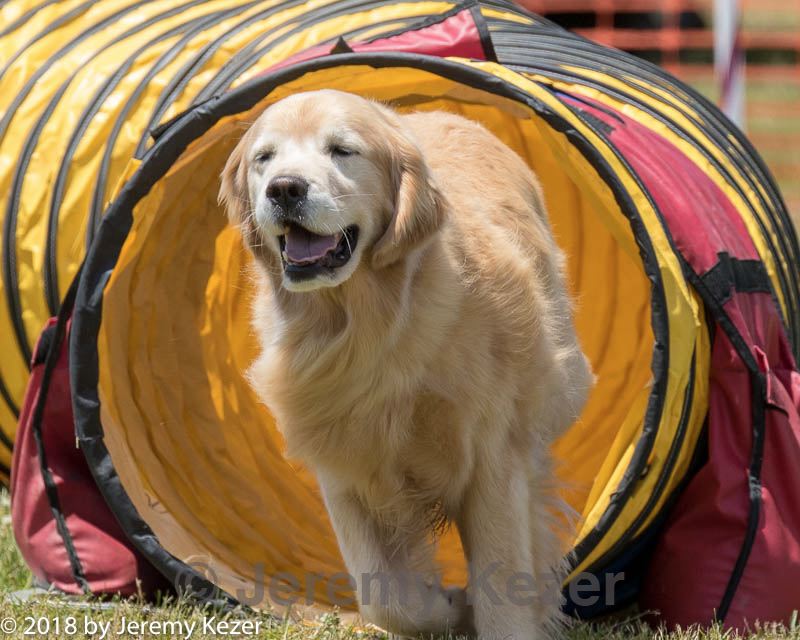 20180616-0813.jpg