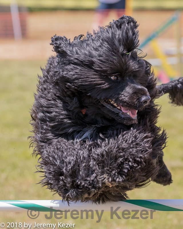 20180616-0844.jpg
