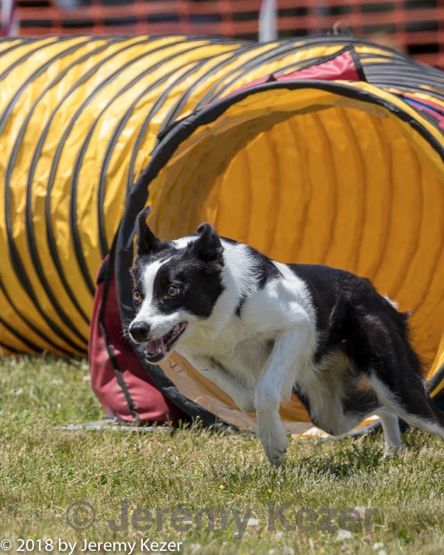 20180616-0890.jpg