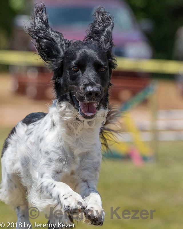 20180616-0929.jpg