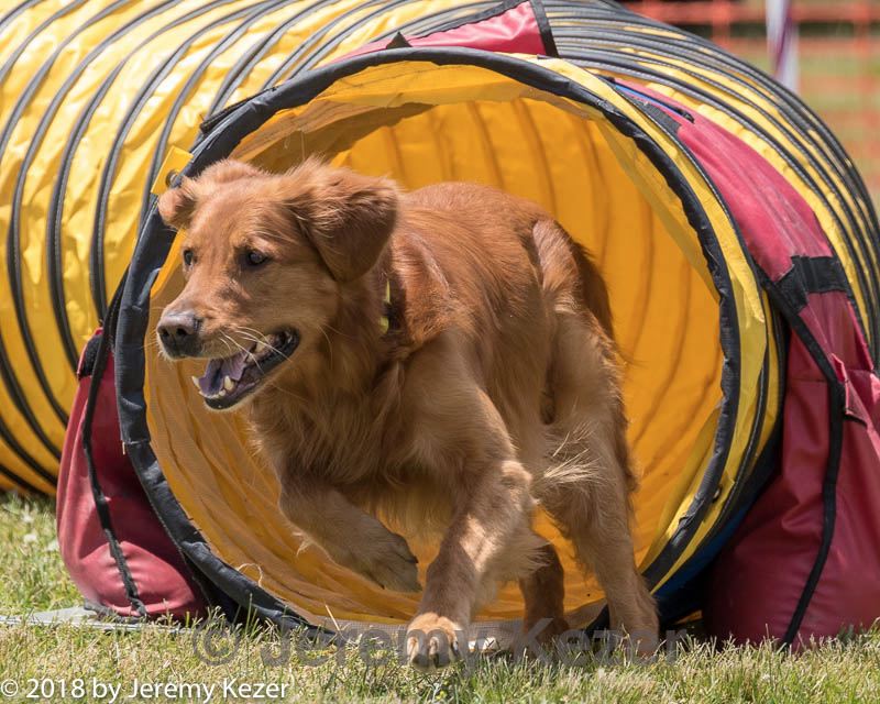 20180616-0954.jpg