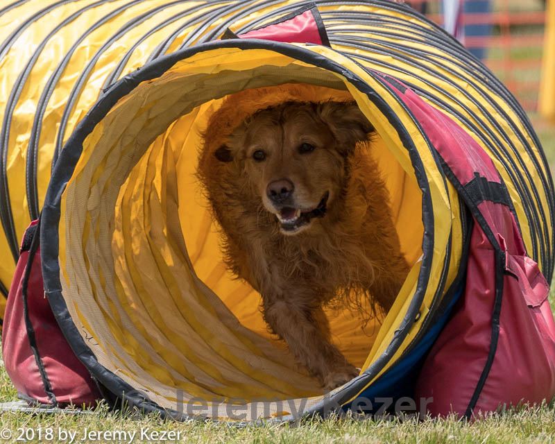 20180616-0981.jpg