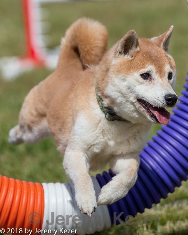 20180616-0327.jpg