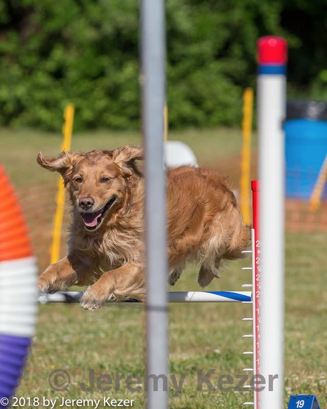 20180616-0138.jpg