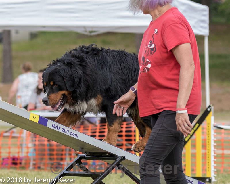 20180616-1874.jpg