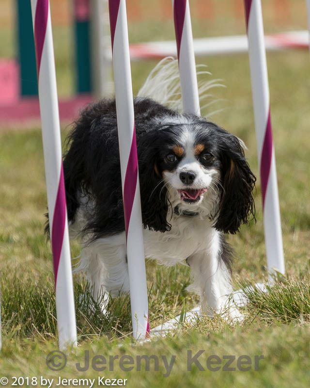 20180616-1628.jpg