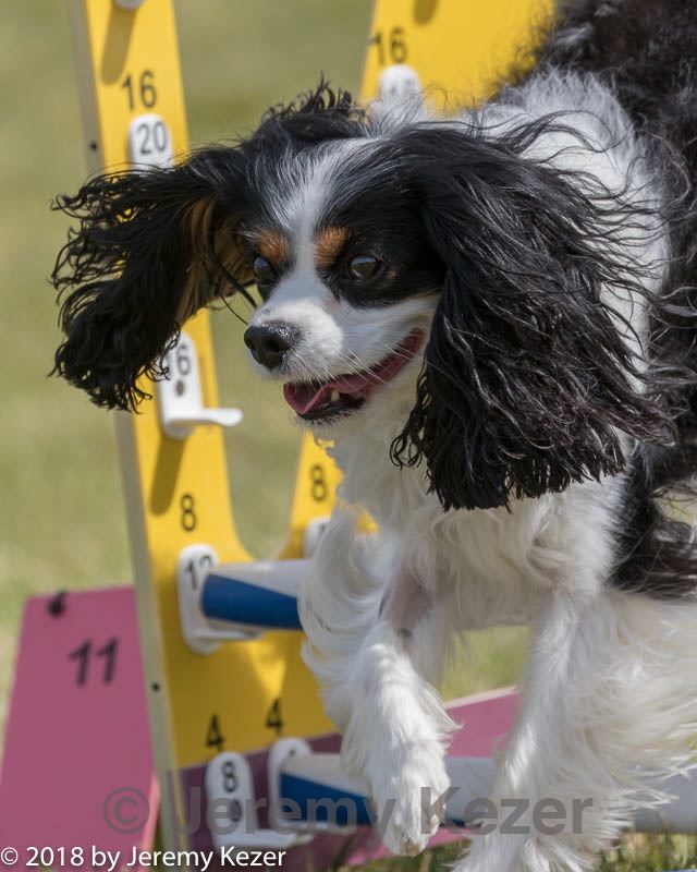 20180616-1639.jpg