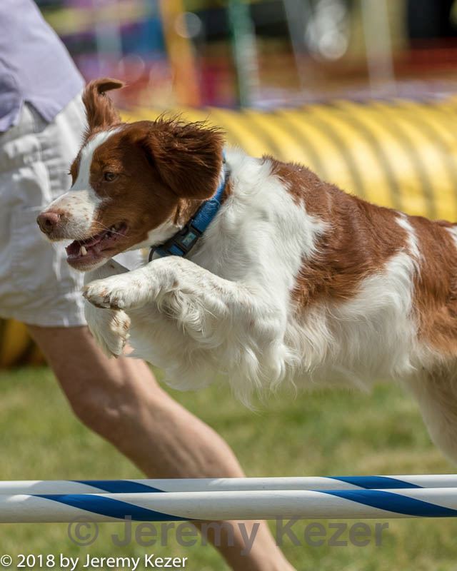 20180616-1595.jpg