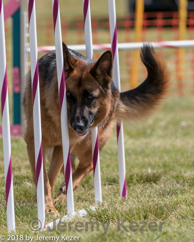 20180616-1576.jpg