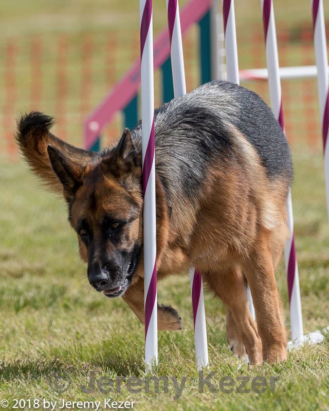 20180616-1582.jpg
