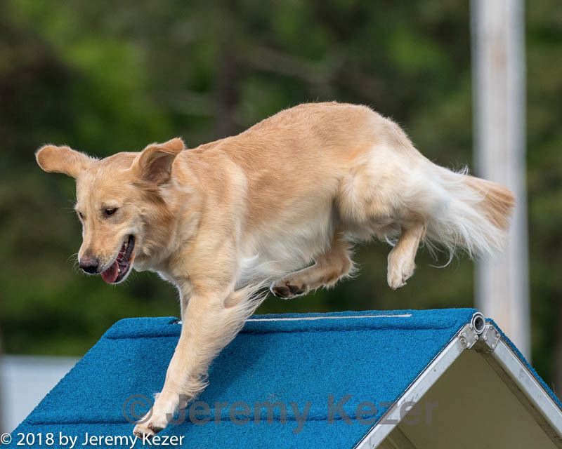 20180616-1855.jpg