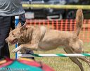 20180616-0497