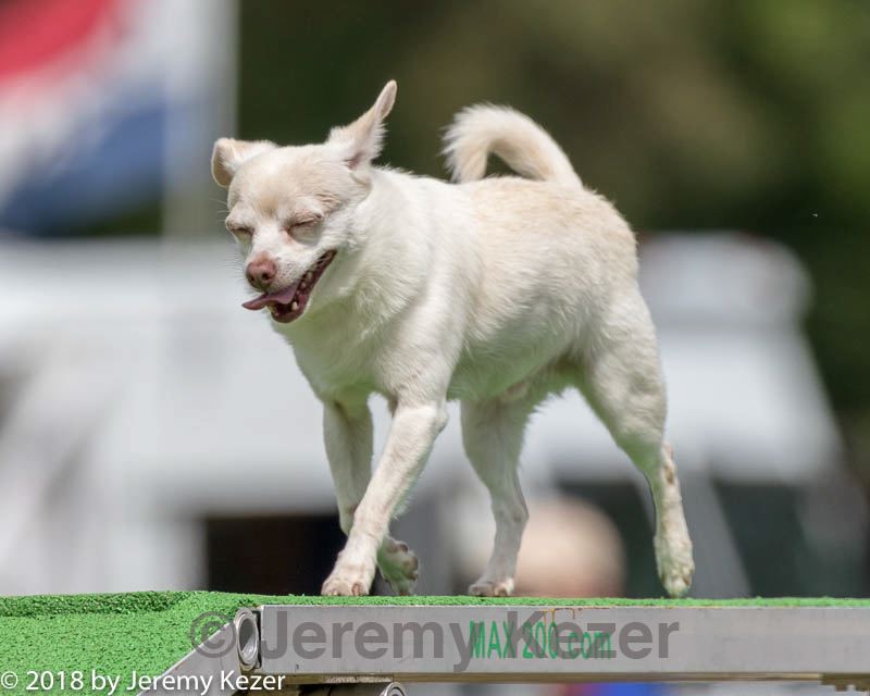 20180616-1529.jpg