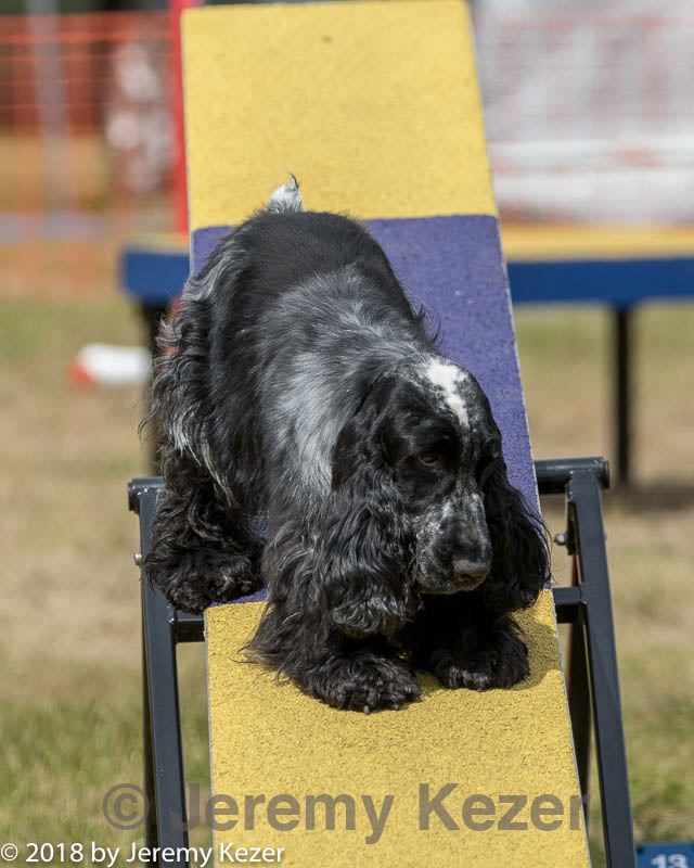 20180616-1520.jpg
