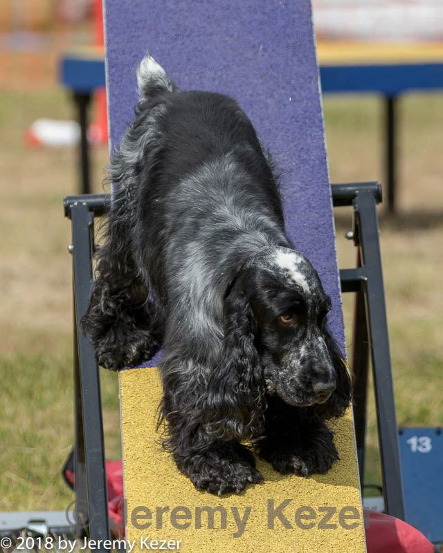 20180616-1522.jpg