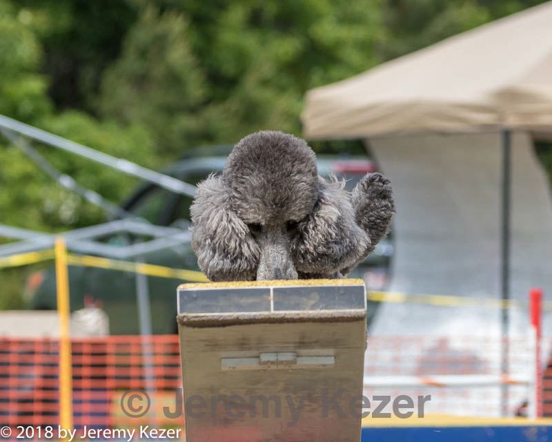 20180616-1491.jpg