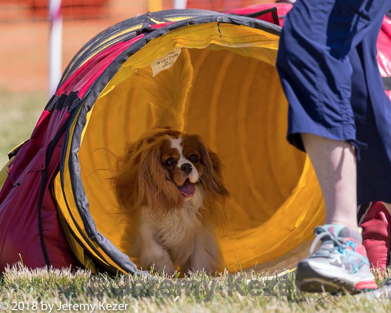 20180617-0357.jpg