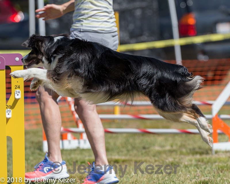 20180617-0499.jpg