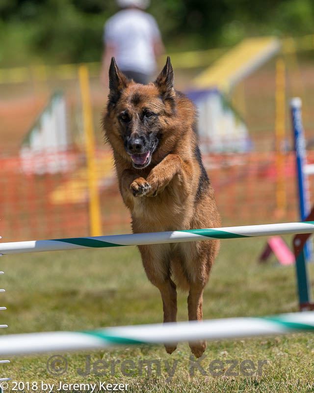 20180617-0643.jpg
