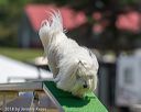 20180617-1124