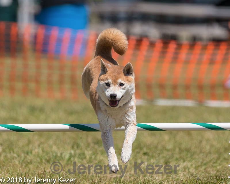 20180617-1151.jpg