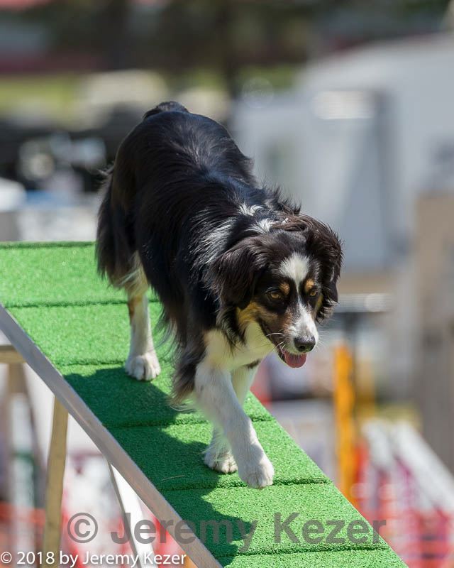20180617-1248.jpg