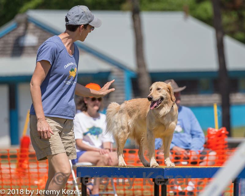 20180617-1465.jpg