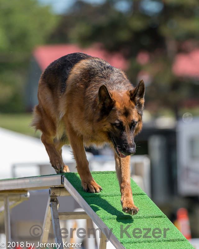 20180617-1528.jpg