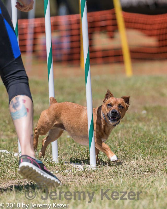 20180617-0786.jpg