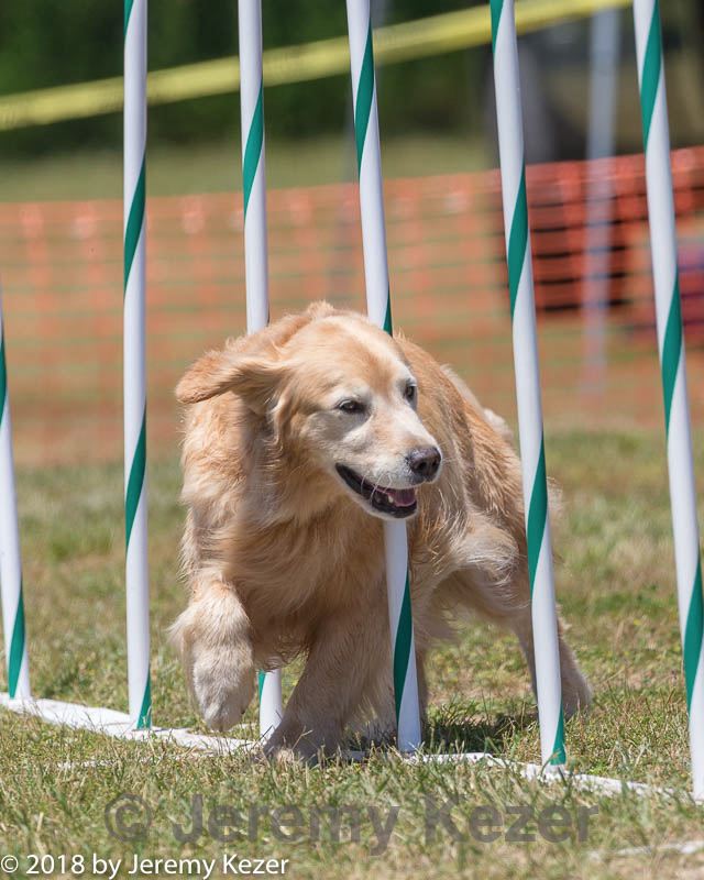 20180617-0895.jpg