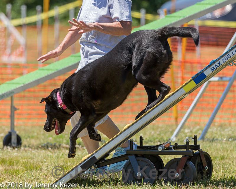20180617-0927.jpg