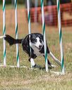 20180617-1014