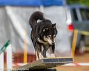 20180617-0051