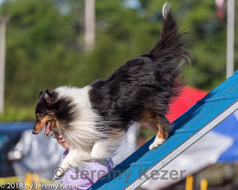 20180617-0078.jpg