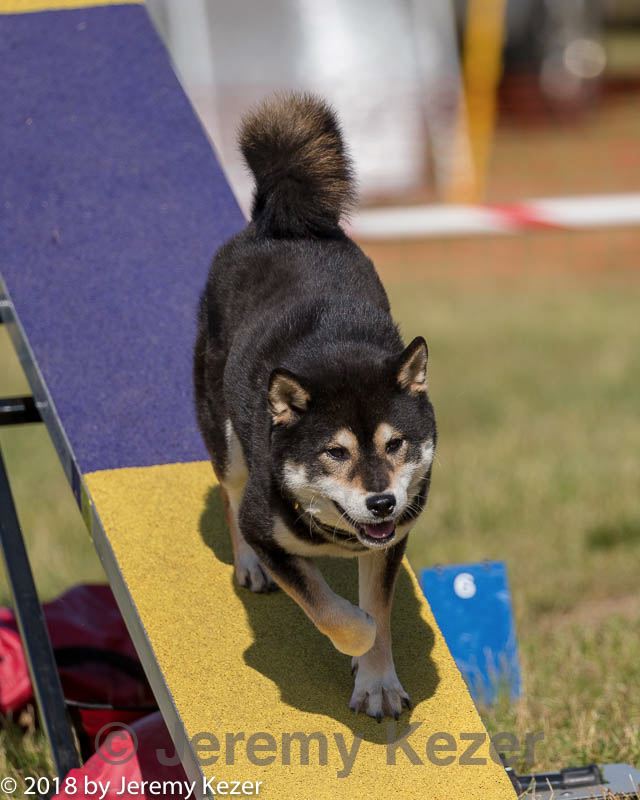 20180617-0095.jpg