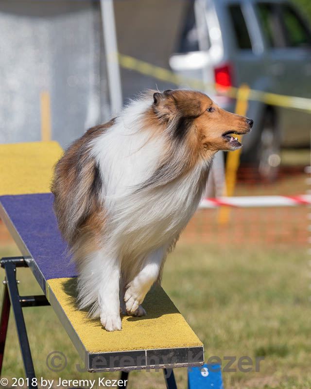 20180617-0266.jpg