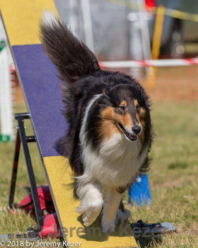 20180617-0338.jpg