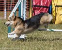 20190615-cckc-1340
