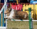 20190615-cckc-1246