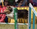 20190615-cckc-1295